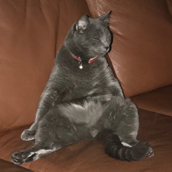 Meet your Posher, Jen - Picture 1 of 1